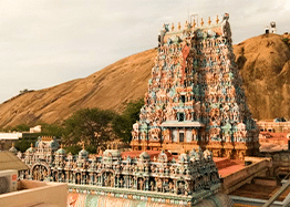 Top 10 travels